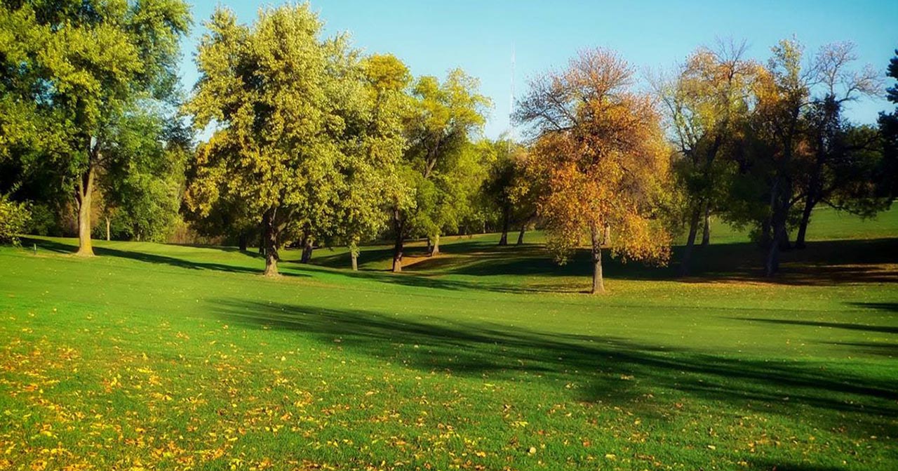 Ware Landscaping Ware Landscaping