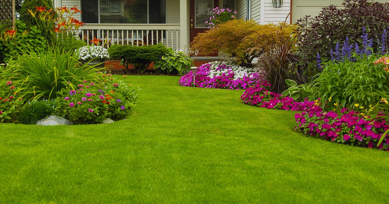 Ware Landscaping Ware Landscaping
